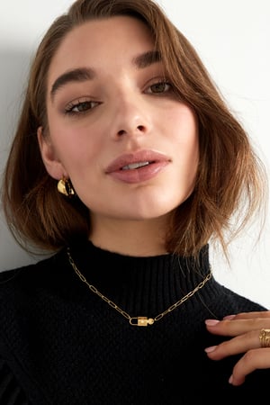 chain link with lock h5 Picture4